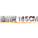 邊伯賢１８５ＣＭ (attack on titan)