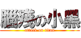 腦殘の小黑 (attack on titan)