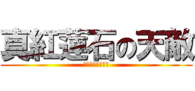 真紅蓮石の天敵 (布団が吹っ飛んだ)