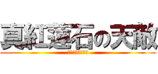 真紅蓮石の天敵 (布団が吹っ飛んだ)