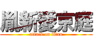 胤新愛京庭 (attack on titan)