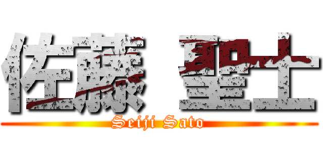 佐藤 聖士 (Seiji Sato)