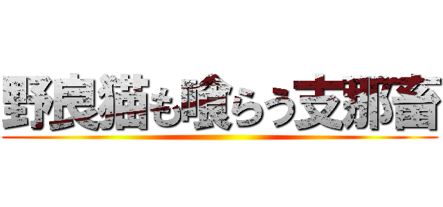 野良猫も喰らう支那畜 ()