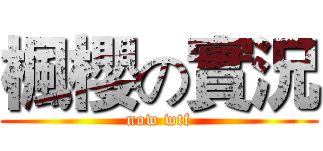 楓櫻の實況 (now wtf)