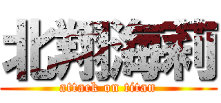 北翔海莉 (attack on titan)