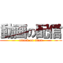 動画の配信 (attack on titan)