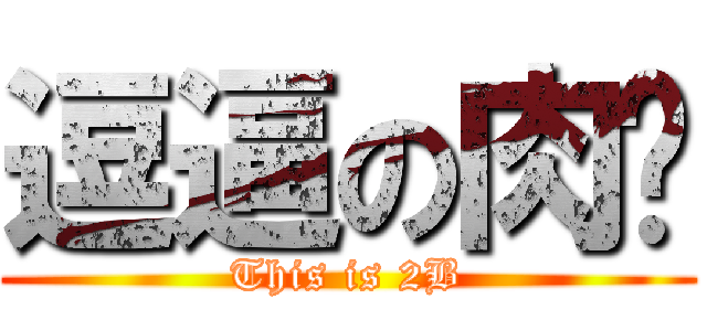 逗逼の肉饼 (This is 2B)