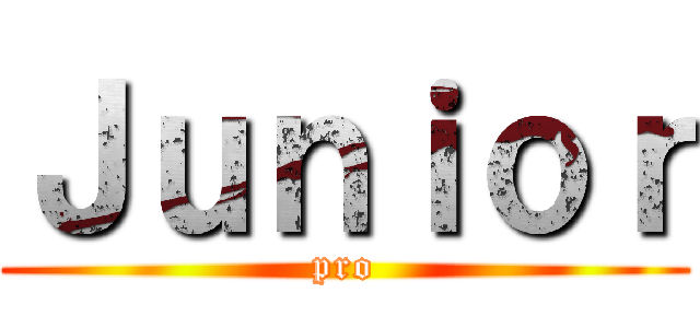 Ｊｕｎｉｏｒ (pro)