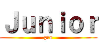 Ｊｕｎｉｏｒ (pro)