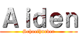 Ａｉｄｅｎ (Schoeihnrder)