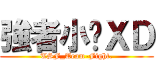強者小暐ＸＤ (TSF_Team-Fight.)