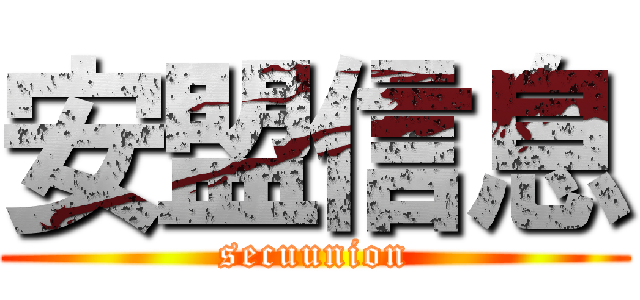 安盟信息 (secuunion)