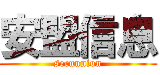 安盟信息 (secuunion)