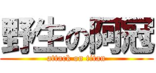 野生の阿冠 (attack on titan)