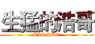 生猛的浩哥 (BIG HAO)