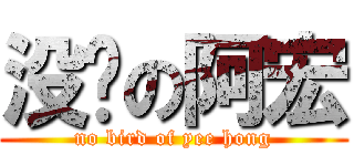 没鸟の阿宏 (no bird of yee hong)