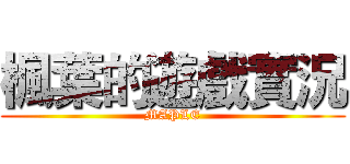 楓葉的遊戲實況 (MAPLE)