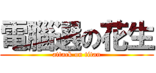 電腦選の花生 (attack on titan)