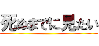 死ぬまでに見たい ()