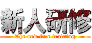 新人研修 (The new face training)