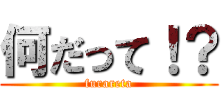 何だって！？ (furareta)