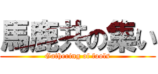 馬鹿共の集い (Gathering of fools)