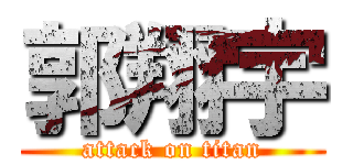 郭翔宇 (attack on titan)