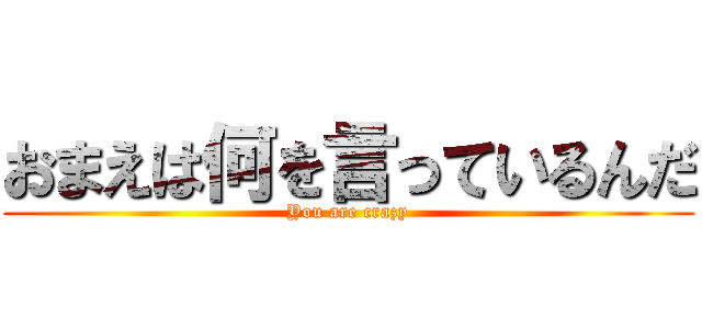 おまえは何を言っているんだ (You are crazy)