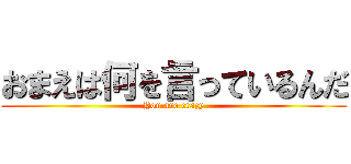 おまえは何を言っているんだ (You are crazy)
