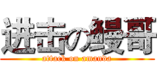 进击の鳗哥 (attack on amanda)