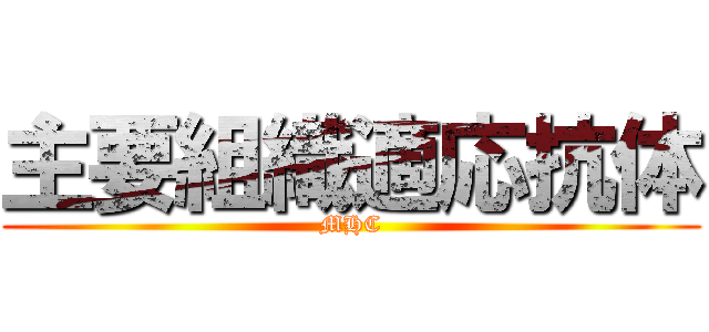 主要組織適応抗体 (MHC)