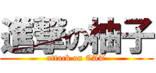 進撃の柚子 (attack on CAT)