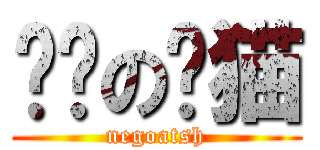 恶脸の贼猫 (negoatsh)