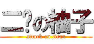 二傻の柚子 (attack on titan)