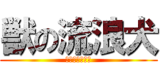 獣の流浪犬 (どう猛な野良犬)