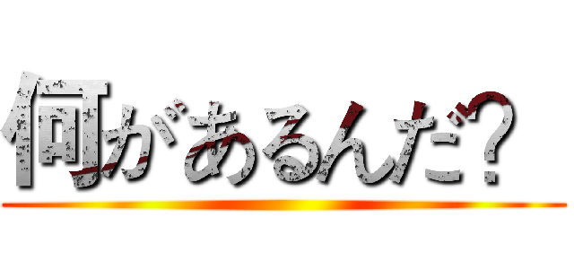 何があるんだ？ ()