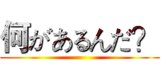 何があるんだ？ ()
