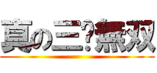 真の三囯無双 ()