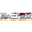 真の三囯無双 ()