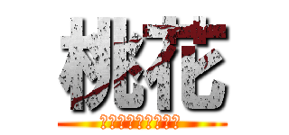 桃花 (努力は必ず報われる)