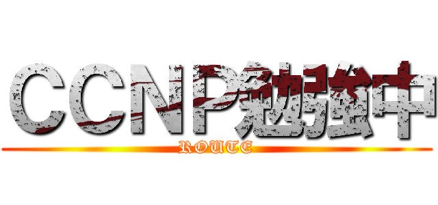 ＣＣＮＰ勉強中 (ROUTE)