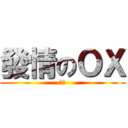 發情のＯＸ (ｏｋ)