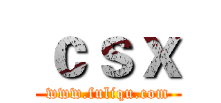 ｃｓｘ (www.fuliqu.com)