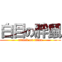 白目の胖鼠 (attack on titan)