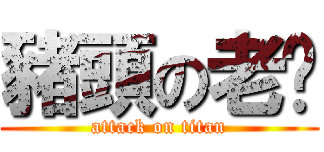 豬頭の老闆 (attack on titan)