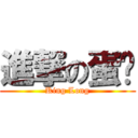 進撃の蛋糕 (King Long)