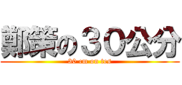 鄭策の３０公分 (30 cm on tes)