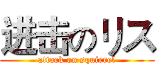 进击のリス (attack on squirrel)