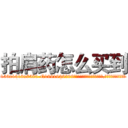 拍肩药怎么买到 (拍肩药怎么买到【电.话156x1318x7580-Q1991936399鑫宏药业】我们做的是长期生意,靠的是老客户长期支持
参考消息网2月20日报道 韩媒称，“剩女多、离婚率高的城市，房价一定会上涨。”这是中国经济学家金岩石2016年12月参加在上海举行的房地产相关论坛时说的话。
)