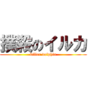 撲殺のイルカ (killer dolphin)